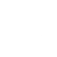 logo skoweb blanc